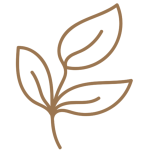 Three brown leaf icons with a transparent background. by Lalin lumina massage in bangkok